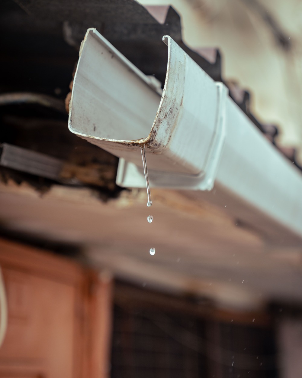 Gutter downspout close-up, illustrative stock photo
